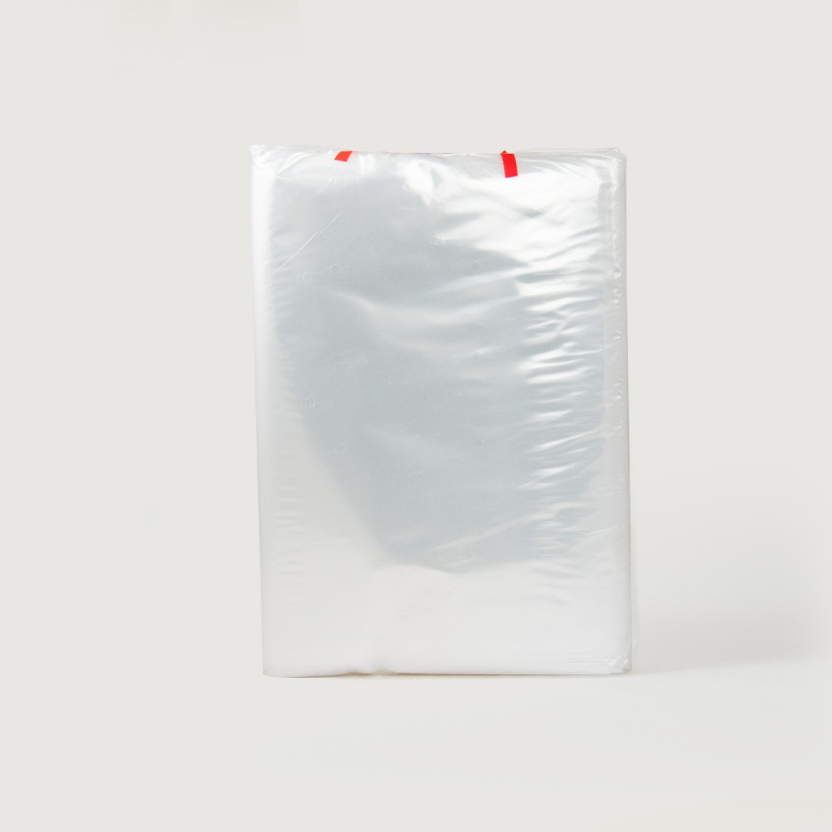 Produce Bag with Hole Punch 10Kg Pack of 100