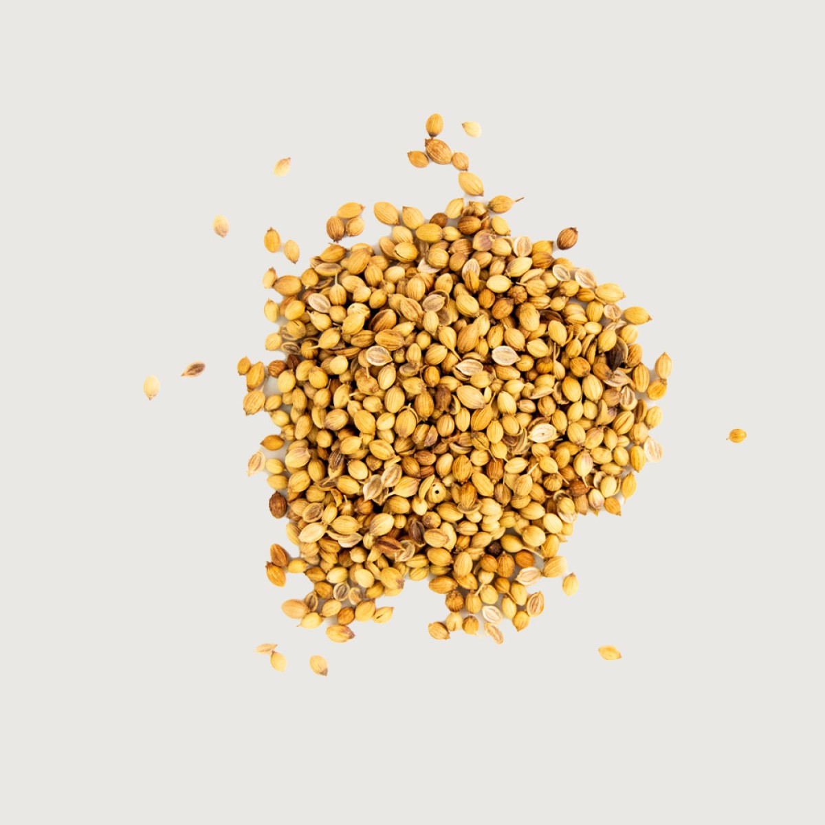 Coriander Seed Whole 15Kg