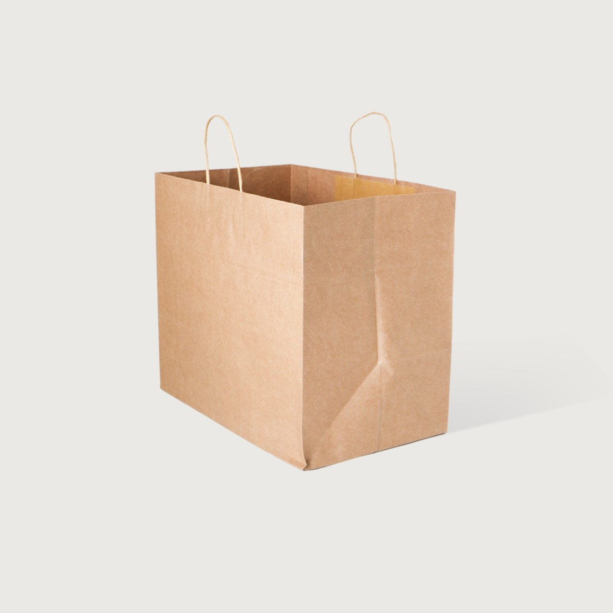 iKON Paper Carry Bag Large Plain 250 per Carton
