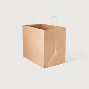 iKON Paper Carry Bag Large Plain 250 per Carton