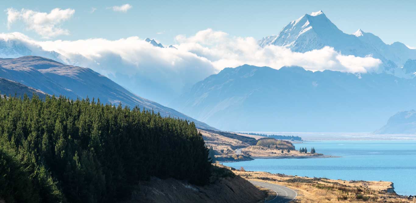 Environmental Banner